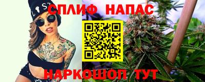 твердый Будённовск