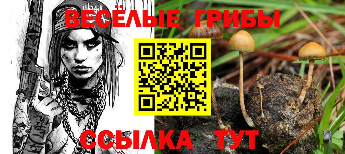 наркошоп  Вход с VPN  Галлюциногенные грибы Cubensis  Хасавюрт  Псилоцибиновые грибы ЛСД 